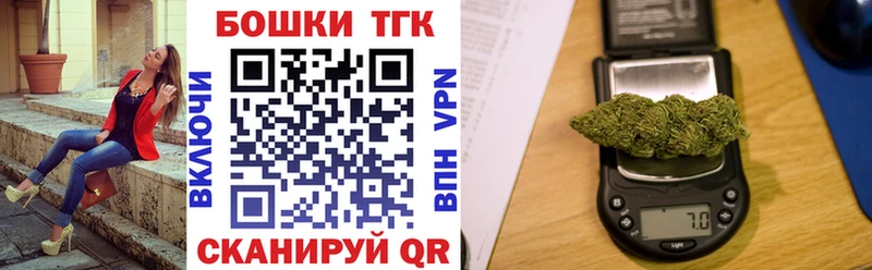 Купить закладку Cocaine  APVP  АМФ  МЕФ  ГАШ  Ветлуга