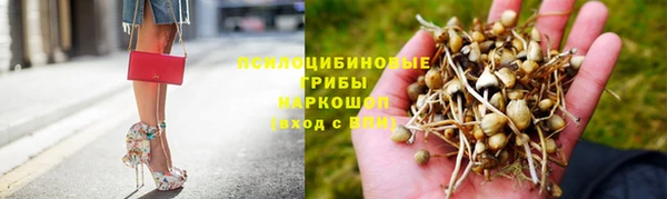 мет Богданович