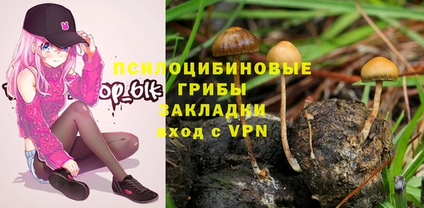 прущая мука Богородицк