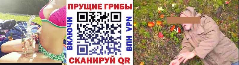 Галлюциногенные грибы MAGIC MUSHROOMS Купить Ветлуга